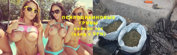 ECSTASY Абаза